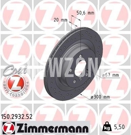 Zadní brzdový kotouč (300x20mm) děrovaný
