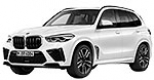 X5 M F95 SAV
